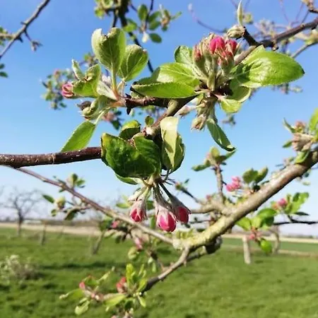 Groepsaccommodatie Op Natuurboerderij Huize Blokland * Hem