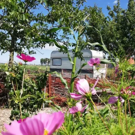 Prázdninový dům Groepsaccommodatie Op Natuurboerderij Huize Blokland