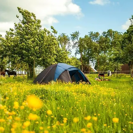 Groepsaccommodatie Op Natuurboerderij Huize Blokland * Hem