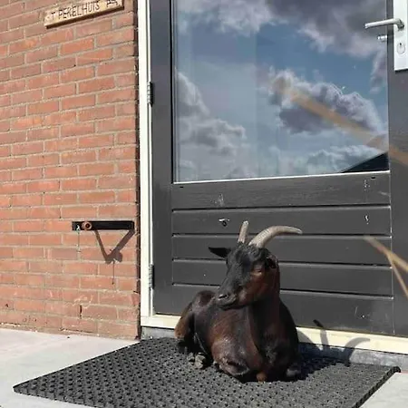 Groepsaccommodatie Op Natuurboerderij Huize Blokland Feriehus
